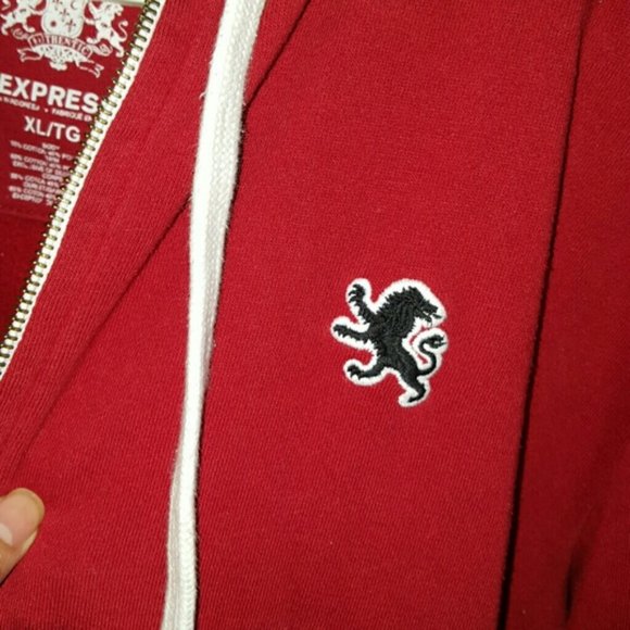 Express Hoodie sweater - Picture 4 of 7